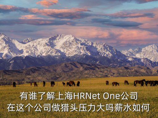 有誰(shuí)了解上海HRNet One公司在這個(gè)公司做獵頭壓力大嗎薪水如何