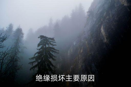 絕緣損壞主要原因
