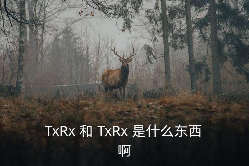 txrx，ADSL貓上的txrx是什么意思