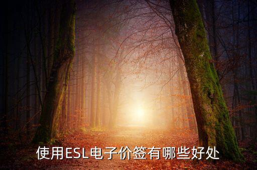 使用ESL電子價簽有哪些好處