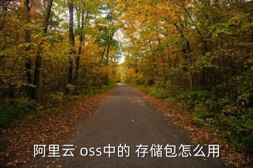 阿里云 oss中的 存儲包怎么用