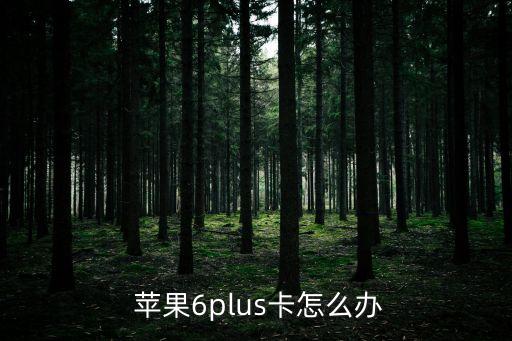  蘋果6plus卡怎么辦