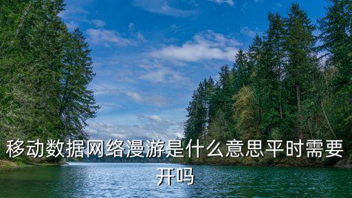 數(shù)據(jù)漫游費(fèi)是什么意思,數(shù)據(jù)漫游費(fèi)用是什么意思?