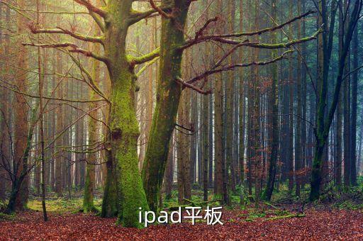 ipad平板