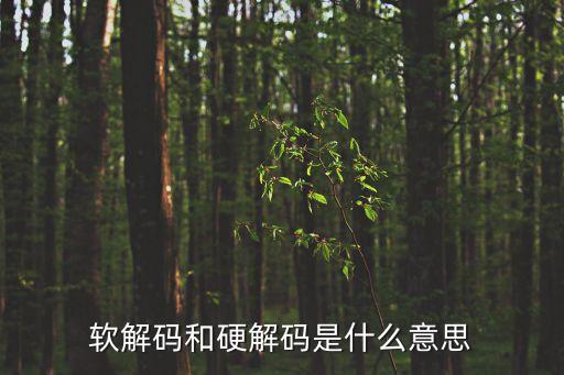 軟解碼和硬解碼是什么意思