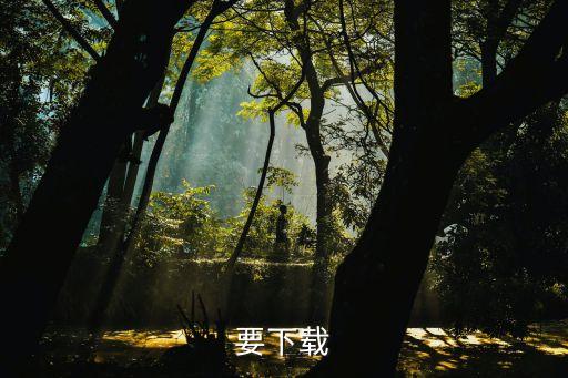 要下載