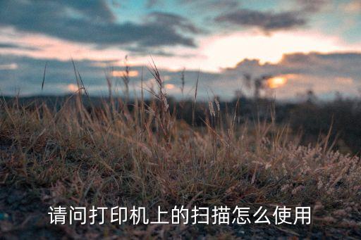 請問打印機上的掃描怎么使用