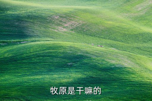 牧原數(shù)字化平臺，牧原公司工資怎樣查