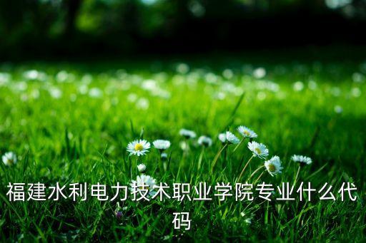 福建水利電力技術(shù)職業(yè)學(xué)院專業(yè)什么代碼
