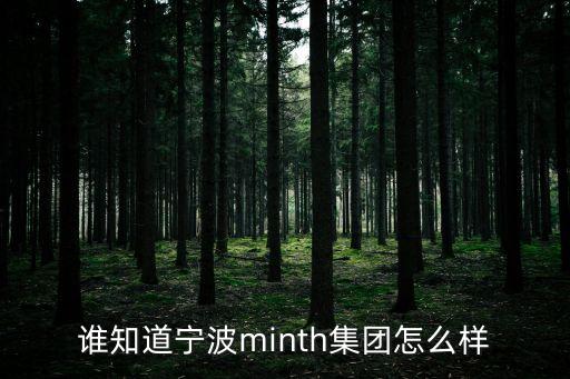 誰知道寧波minth集團(tuán)怎么樣
