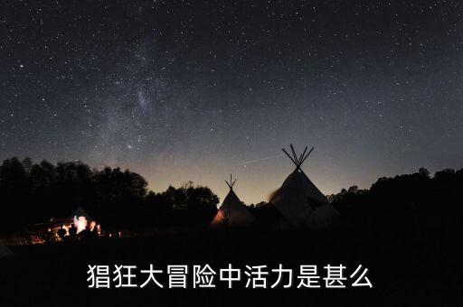 瘋狂大冒險(xiǎn)，猖狂大冒險(xiǎn)中活力是甚么