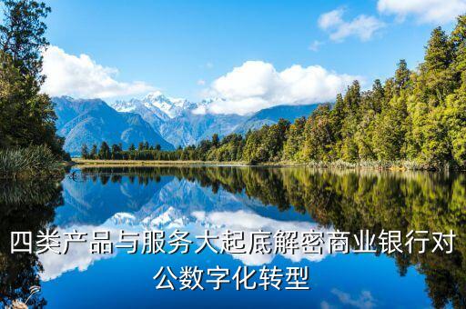 四類產(chǎn)品與服務(wù)大起底解密商業(yè)銀行對(duì)公數(shù)字化轉(zhuǎn)型
