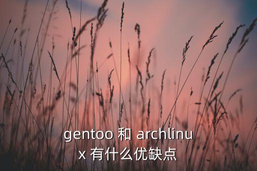 gentoo，gentoo 和 archlinux 有什么優(yōu)缺點(diǎn)