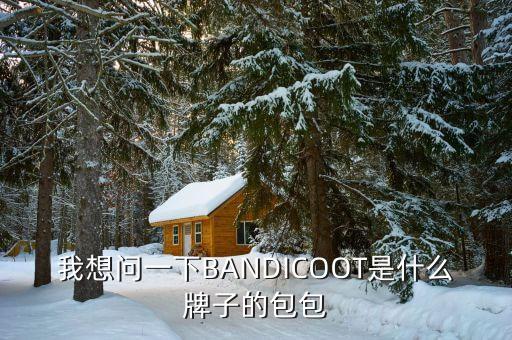 我想問一下BANDICOOT是什么牌子的包包
