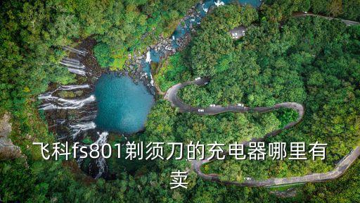 飛科fs801剃須刀的充電器哪里有賣