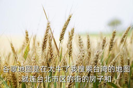 谷歌臺(tái)灣，谷歌地圖是在太牛了我搜索臺(tái)灣的地圖就連臺(tái)北市區(qū)的街的房子和