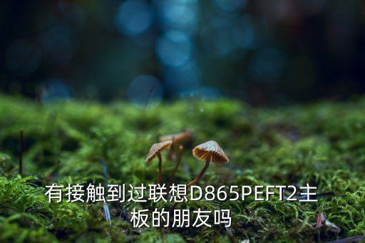 有接觸到過聯(lián)想D865PEFT2主板的朋友嗎
