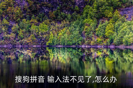 搜狗拼音 輸入法不見了,怎么辦