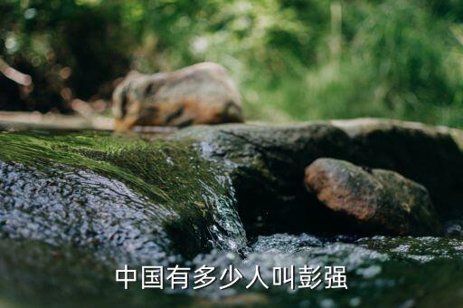 中國有多少人叫彭強