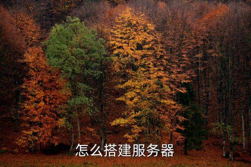 怎么搭建服務(wù)器