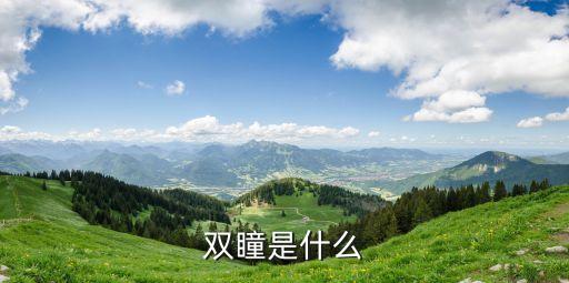 雙瞳是什么