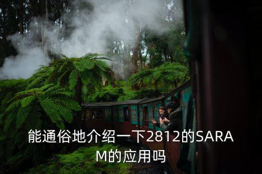 能通俗地介紹一下2812的SARAM的應(yīng)用嗎