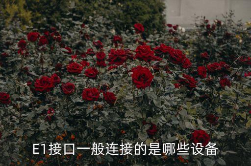 E1接口，E1接口到底是什么東西