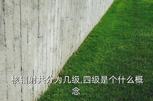  核輻射共分為幾級,四級是個什么概念