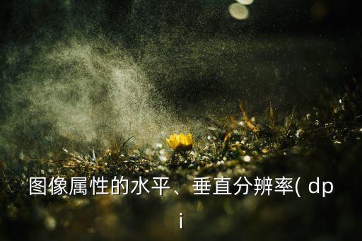 圖像屬性的水平、垂直分辨率( dpi