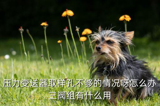 壓力變送器取樣孔不夠的情況呀怎么辦三閥組有什么用