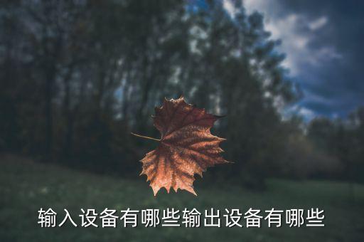 輸入設(shè)備有哪些輸出設(shè)備有哪些