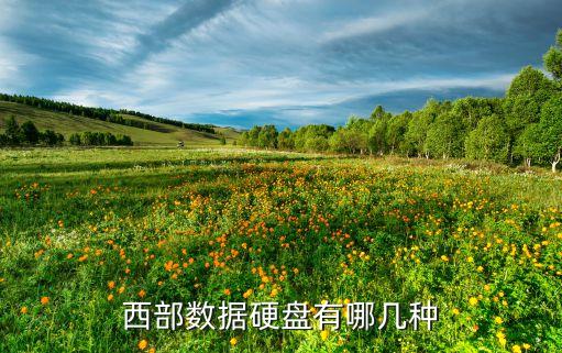西部數(shù)據(jù)硬盤有哪幾種