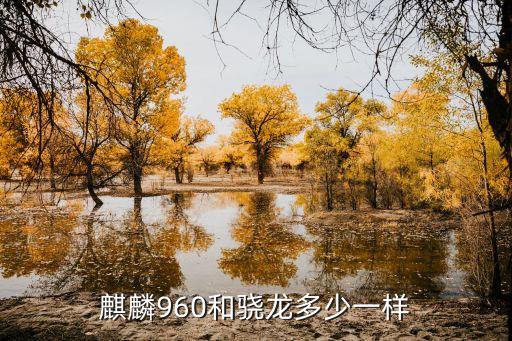 麒麟960和驍龍多少一樣