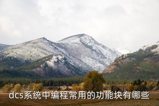 dcs系統(tǒng)中編程常用的功能塊有哪些