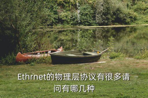 Ethrnet的物理層協(xié)議有很多請(qǐng)問有哪幾種