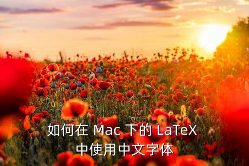 如何在 Mac 下的 LaTeX 中使用中文字體
