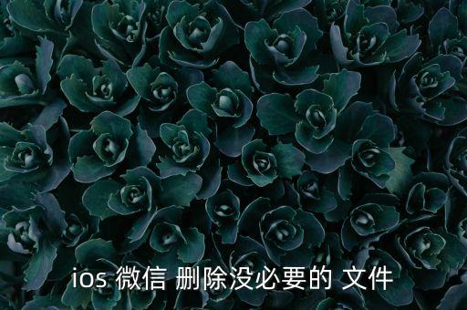 ios 微信 刪除沒必要的 文件