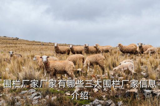 圍欄廠家廠家有哪些三大圍欄廠家信息介紹
