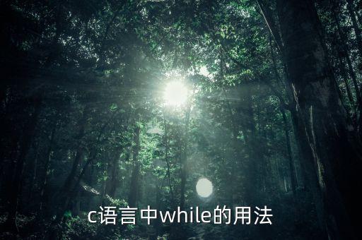 c語言中while的用法