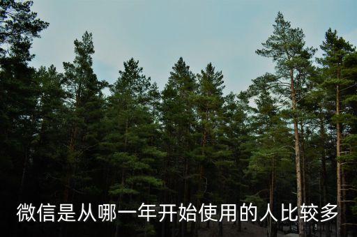 微信是從哪一年開(kāi)始使用的人比較多