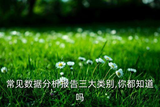 常見數(shù)據(jù)分析報告三大類別,你都知道嗎