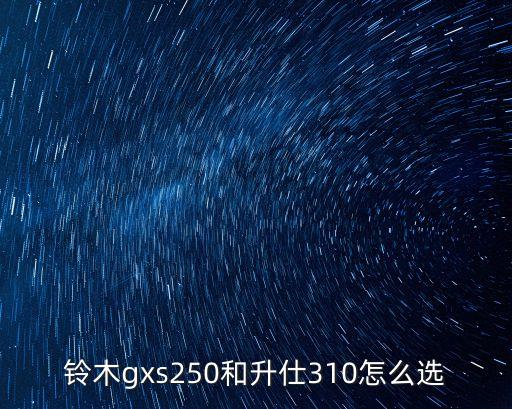 鈴木gxs250和升仕310怎么選