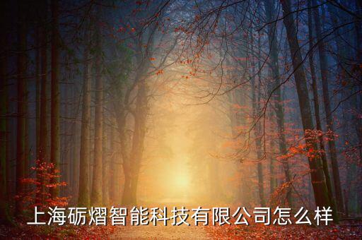 利輝自動化科技有限公司,上海礪熠智能科技有限公司怎么樣?