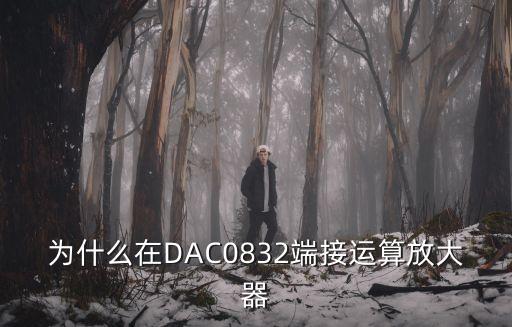 dac0832，微機(jī)原理DAC0832