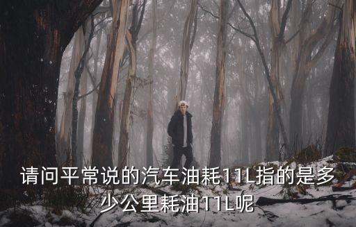請問平常說的汽車油耗11L指的是多少公里耗油11L呢