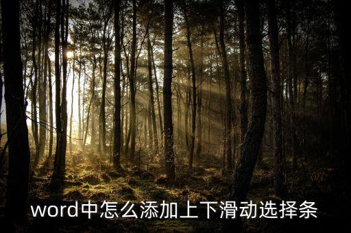 word中怎么添加上下滑動選擇條