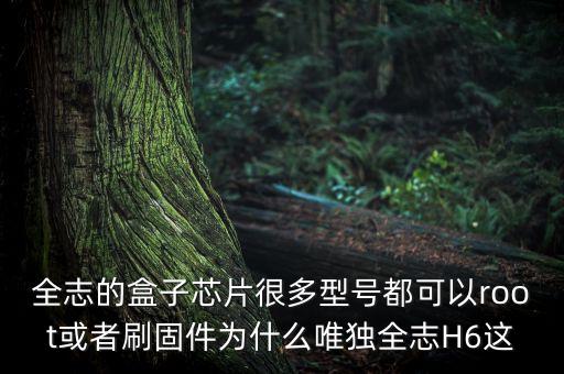 全志的盒子芯片很多型號都可以root或者刷固件為什么唯獨全志H6這