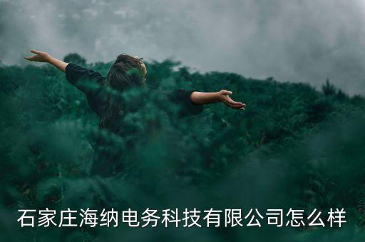 石家莊海納電務(wù)科技有限公司怎么樣