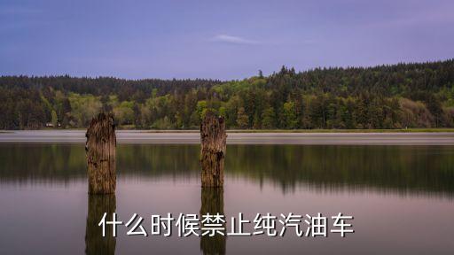 禁售燃油車時(shí)間，什么時(shí)候禁止純汽油車