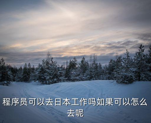 程序員可以去日本工作嗎如果可以怎么去呢